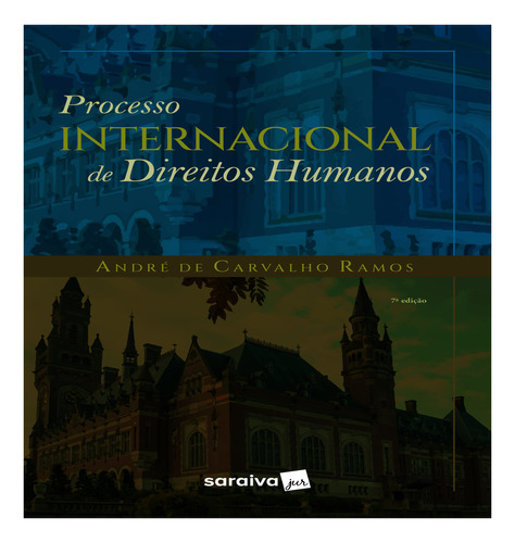 Processo Internacional De Direitos Humanos - 7ª Edição 2022, De André De Carvalho Ramos. Editora Saraiva Jur Em Português