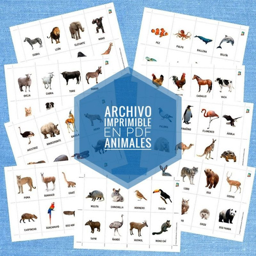 Archivo Imprimible Tarjetas X 72 Animales 90x62 Mm