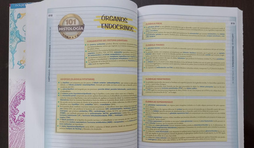 Histología Ross 8va