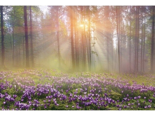 Fotomurales Bosques Modelos Tapiz Vinil Autoadhesivo Color Bosque Con Flores