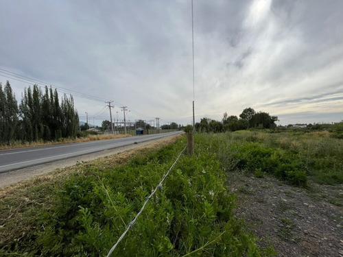 Terreno 1.5 Hectareas Punta Diamante Las Cabras