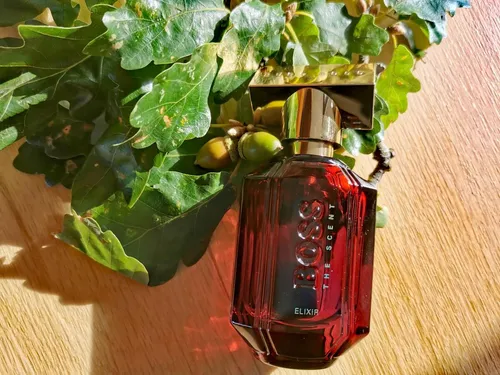Hugo boss verde perfume intense clearance