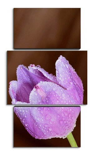 Cuadro Decorativo Moderno Tulipanes Jd-0418 G Tríptico 100x60 Cm Sin Marco