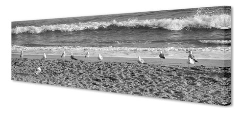 Cuadro Canvas Bastidor Aves En La Costa 30 X 90 Hd Lfda