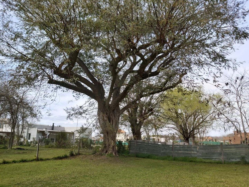 Imagen 15 de 15 de Casa En Alquiler En San Matias - Escobar