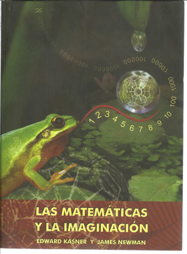 Las Matemáticas Y La Imaginación 