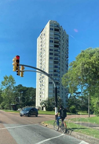Imagen 13 de 15 de Punta Del Este, Apartamento Con Excelente Orientación.