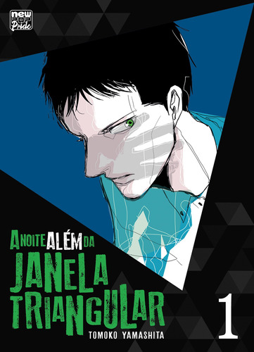 Livro A Noite Além Da Janela Triangular: Volume 01