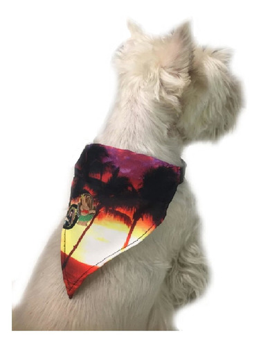 Collares Para Perros O Gatos Con Pañuelo Bandana Ajustables Color Estampado Xl-mujer Maravilla