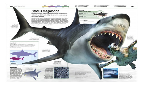 Dk Enciclopedia Dinosaurios