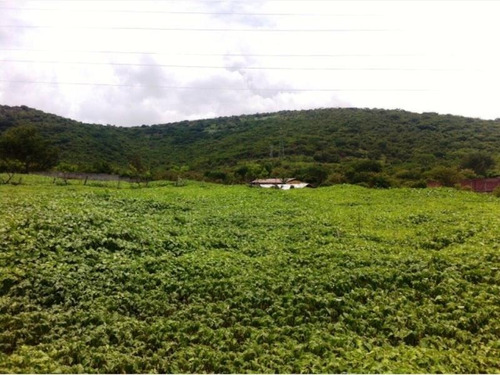 Venta Terreno Yautepec Inmejorable Ubicación Ideal Para Desarrolladores