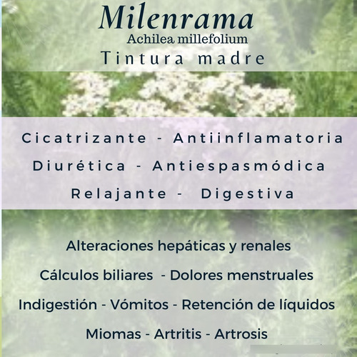 Tintura Madre De Diente De León 30 Ml. Homeopatía