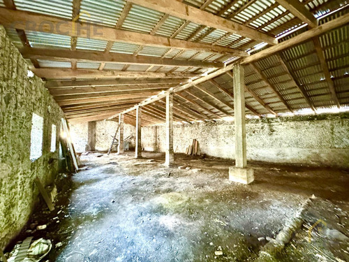 Bodega En Renta En Coatepec Veracruz