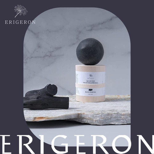 Barra De Shampoo De Carvão Preto All-in-one Erigeron Para To