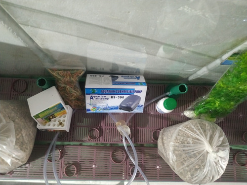 Kit Pecera 100x40x30 A.fria. El Mejor Precio, Siempre.