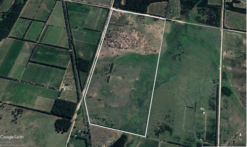 Imagen 12 de 12 de Campo De 50 Has En Zona De Osvaldo Magnasco