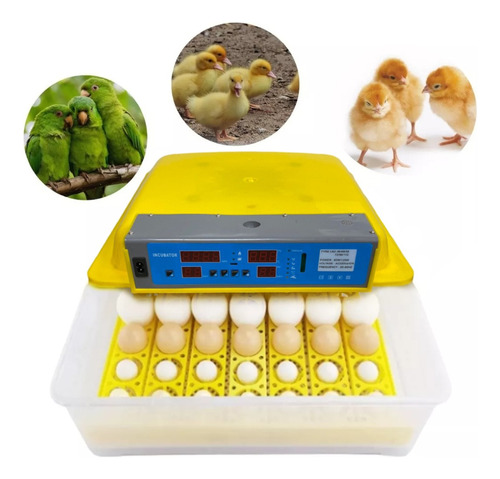 Incubadora De Huevos Automatica Aves Encubadora 48 Huevos 