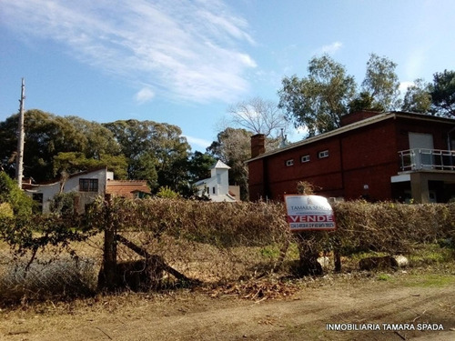 Imagen 2 de 6 de Lote Sobre El Monte