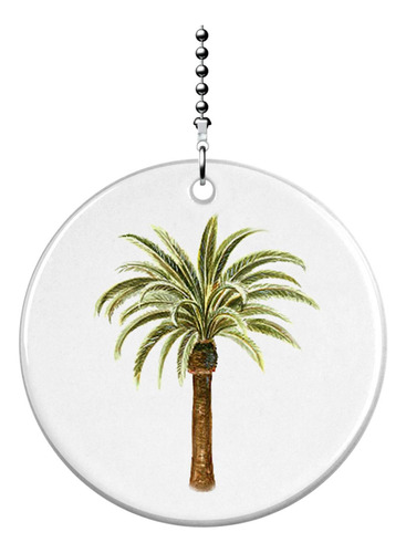 Tropical Palm Arbol Ventilador Porcelana Luz Pull