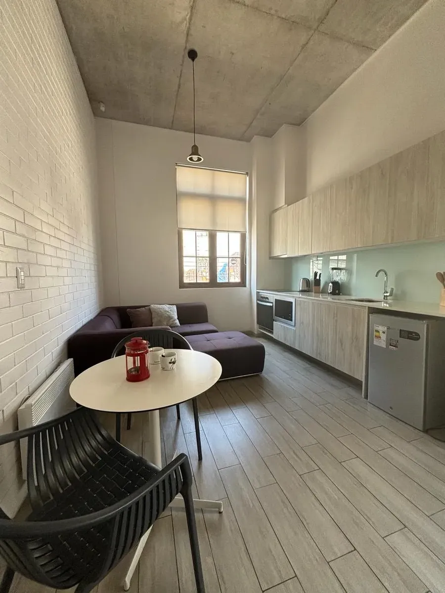 Imagen 2 de 24 de Se Arrienda Loft En Premiado Edificio Mirador Barón