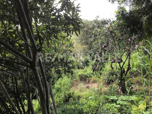 Imagen 6 de 14 de Terreno En Venta