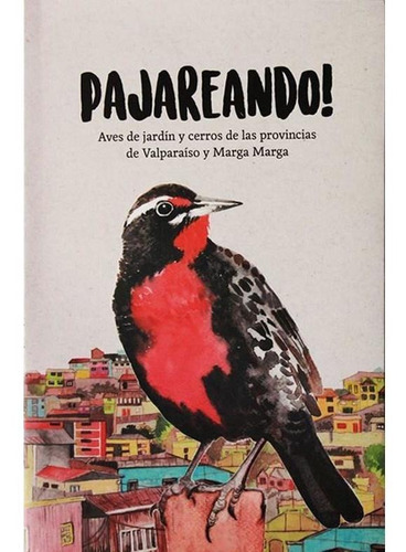Imagen 6 de 6 de Pajareando - Claudia Ortiz
