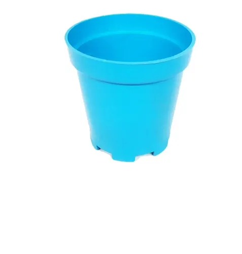 comprar Matera Plástica Redonda Colores Vivos Cactus Suculentas P5