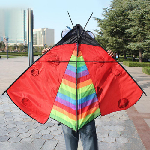 Triangle Ladybug Kite Fly Kite Easy Control Delta Kite Para