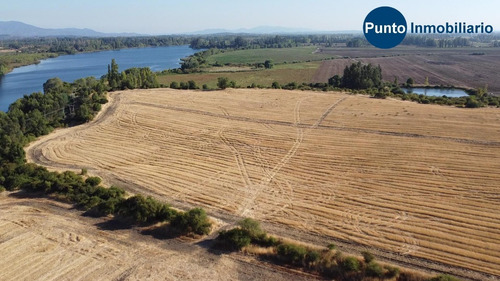 Imagen 4 de 13 de Rodeado De Lagunas. Apto Frutales.