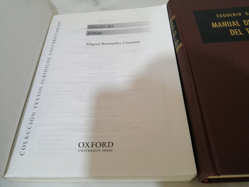 Libro. Manual De Derecho De Trabajo. +1 Afín. Euquerio Guerr (Usado)