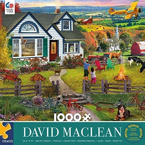 Ceaco - Puzle De David Maclean - The Fly By - Puzle De 1000