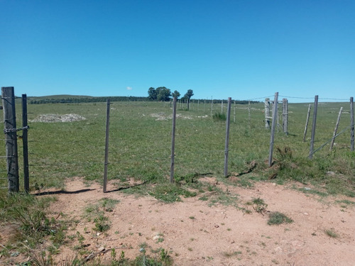 Imagen 3 de 26 de 20 Has Ganaderas Turísticas En Penitente, A 10 Km De Minas, Lavalleja.