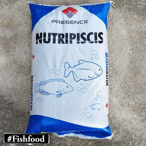 Imagem 3 de 9 de Ração Tr36% - 3 A 4mm Peixe Tilápia Nutripiscis Presence 2kg