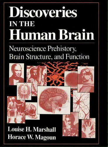 Discoveries In The Human Brain, De Louise H. Marshall. Editorial Humana Press Inc, Tapa Dura En Inglés