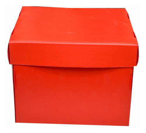 Caja Archivadora Carton Dx Premium - 42 X 32 X 25 Cm