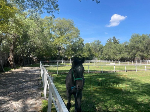 Rancho Privilegiado Con 2 Pozos Y Bella Ecología. 10 Caballerizas, Potreros, Lago, Invernaderos, Cancha De Frontón, Instalaciones Diversas Para Animales. Y Casa Campestre Con 3 Recámaras.