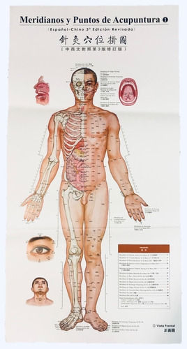 Posters De Acupuntura-microsistemas. Español. Medicina China