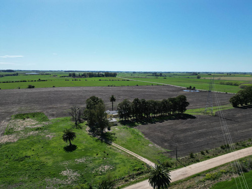 Chacra 5 Has, Colonia