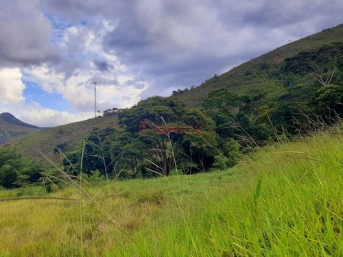 Imagem 2 de 27 de Terreno Em Condomínio Com 2.000 M², Em Bonsucesso. - Te00397 - 69360138
