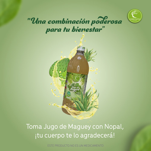 Jugo Magey Con Nopal Verde Santo Natural Original 1 L