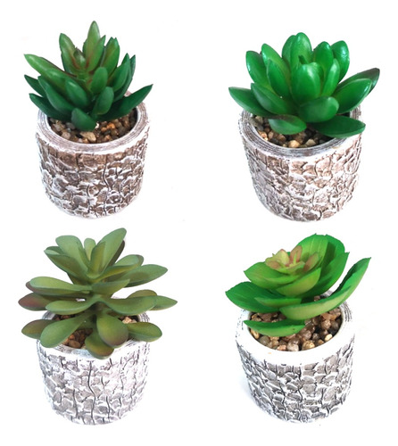 Pack 4 Plantas Suculentas Con Maceteros Adornos Variedades 