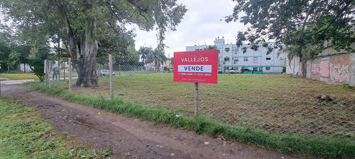 Terreno En Villa Luzuriaga