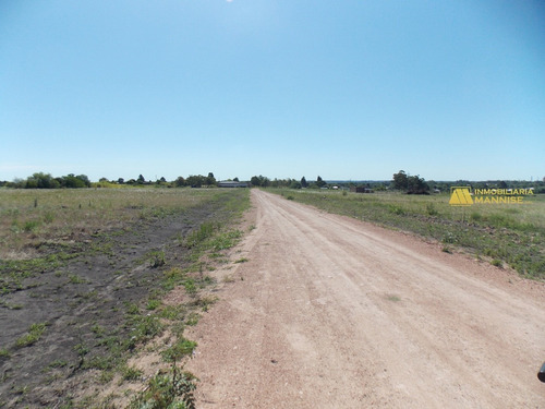 Imagen 10 de 15 de Atención Paysandú Últimos 4 Terrenos Zona Egeo!!!