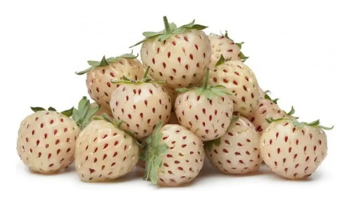 100 Semillas Fresas Blancas White Strawberry