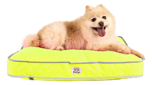 Cama Perro Mascota Pet2go® Ligera - Splash Chica 58x45