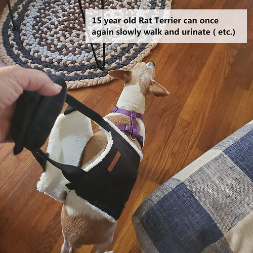 Arnés De Apoyo Para La Cadera De Las Patas Traseras De La