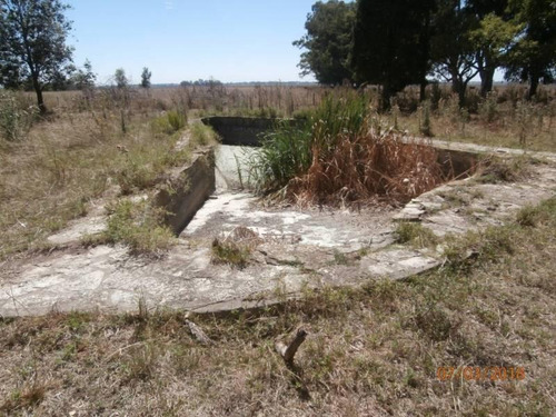 Imagen 7 de 25 de Campo Alto A 60 Km Del Ovelisco 376 Hectareas Con Mejoras