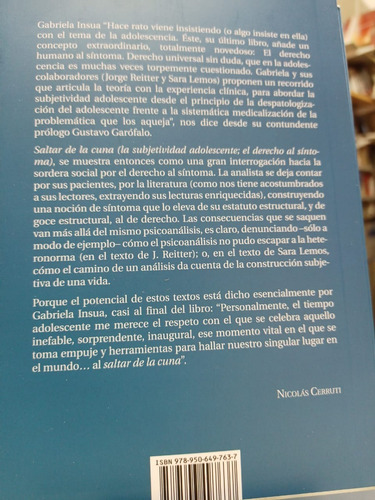 Imagen 2 de 4 de Saltar De La Cuna La Subjetividad Adolescente - Insua -lv
