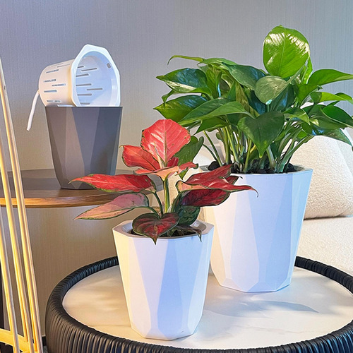 Maceta Con Riego Automático Para Decoración De Escritorio, P