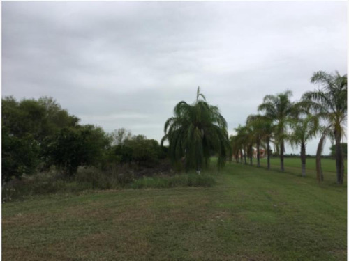 Imagen 5 de 5 de Terreno En Venta Palmitos